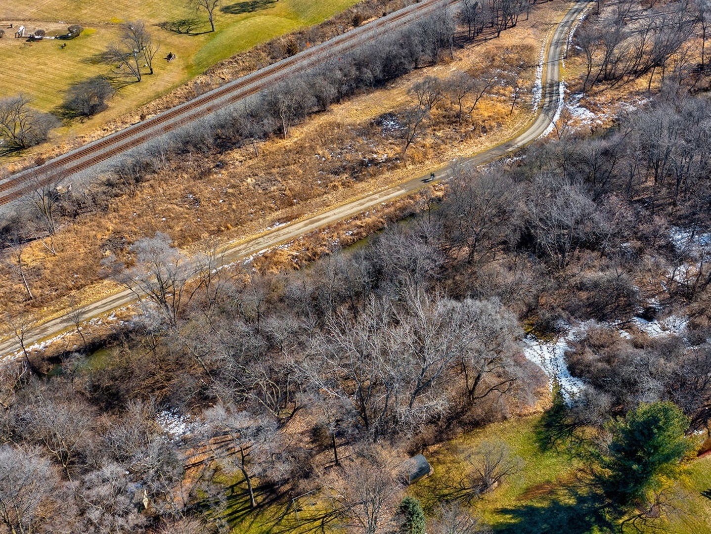 a view of a yard with a forest