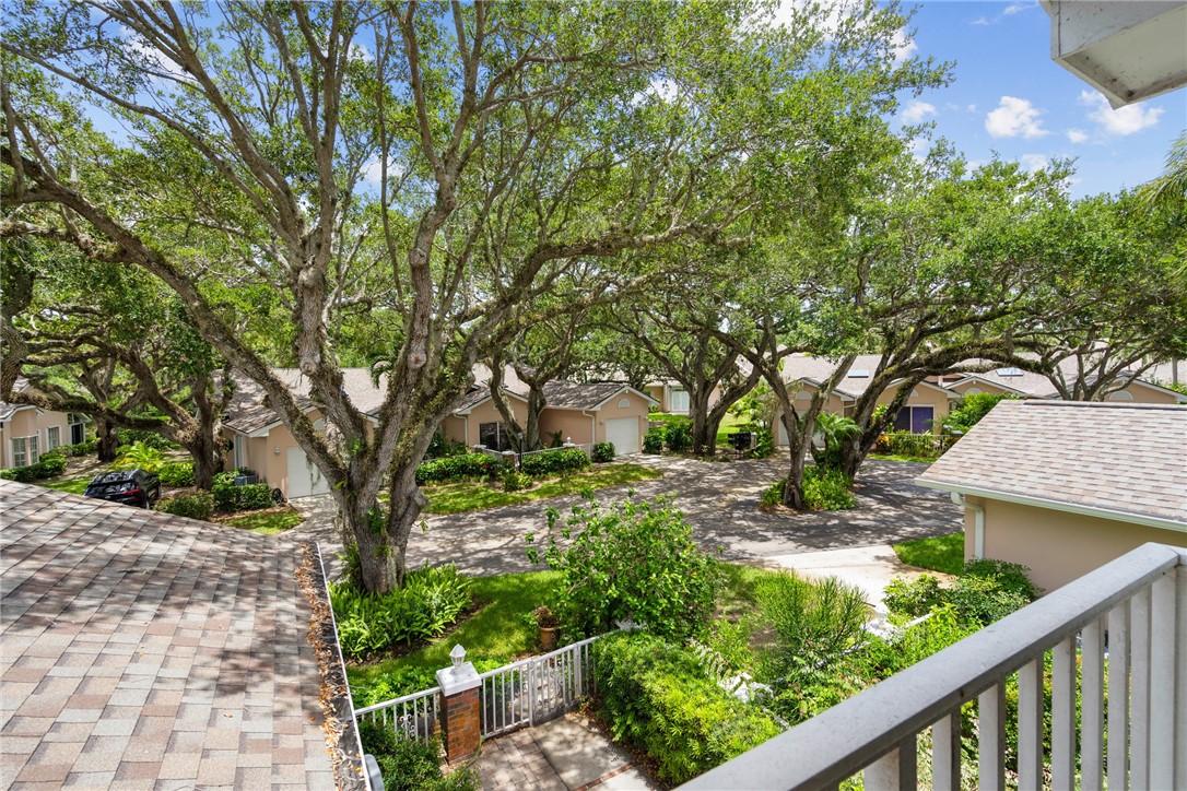 a view of a garden with wooden fence