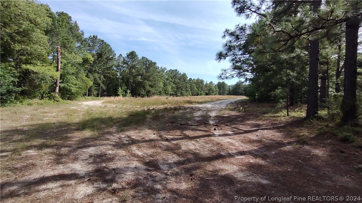 a view of a dirt road with trees in the background