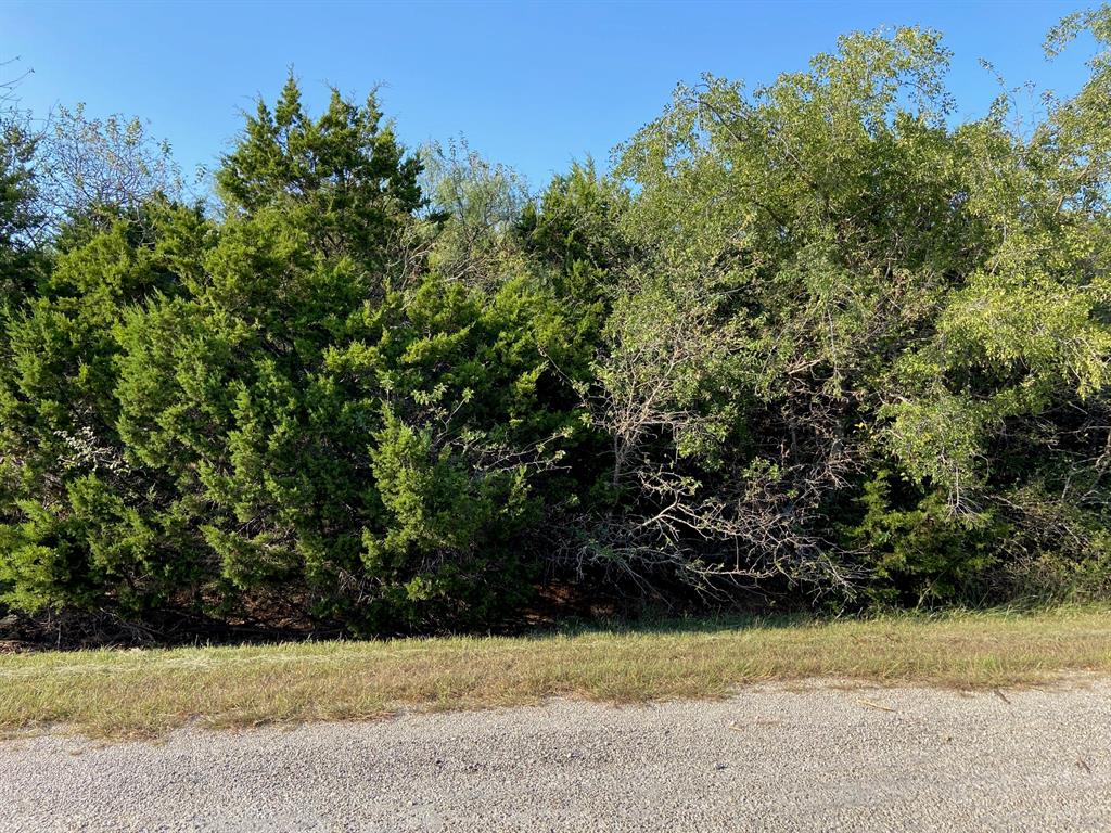 a view of a yard with plants