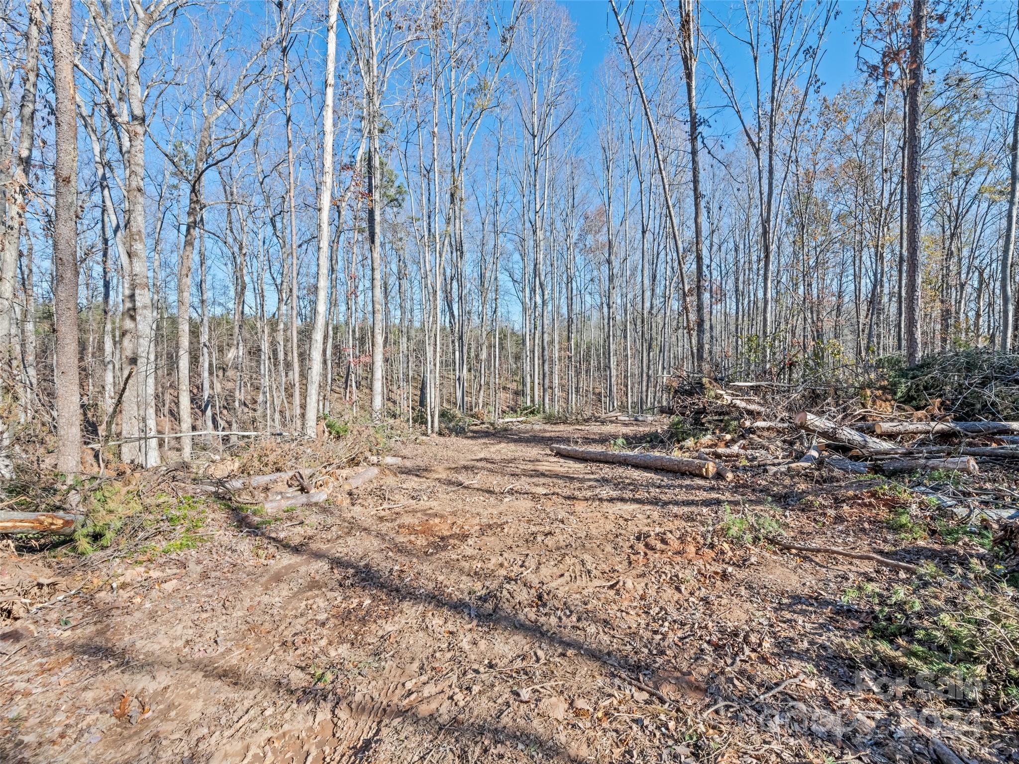 a view of a pathway with a yard