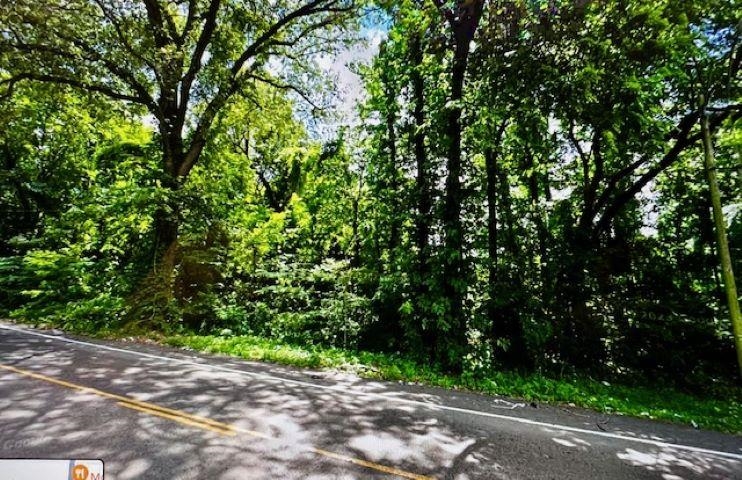 a view of a street with a tree