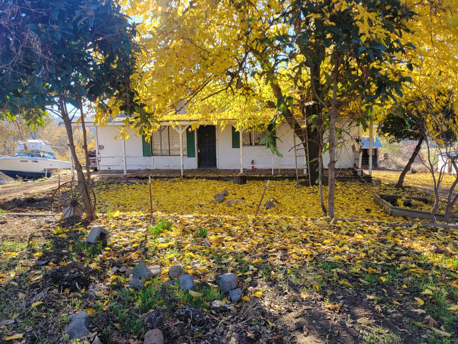 a view of a yard with plants and trees