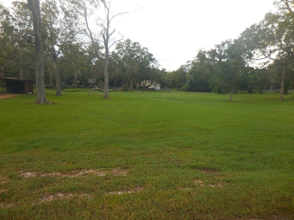 a view of a field with trees