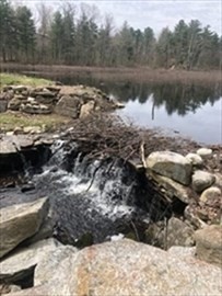 a view of a lake next to a yard