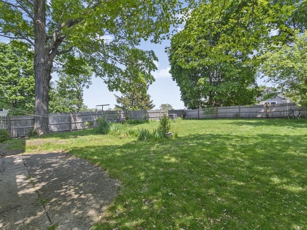 a view of a backyard with large trees