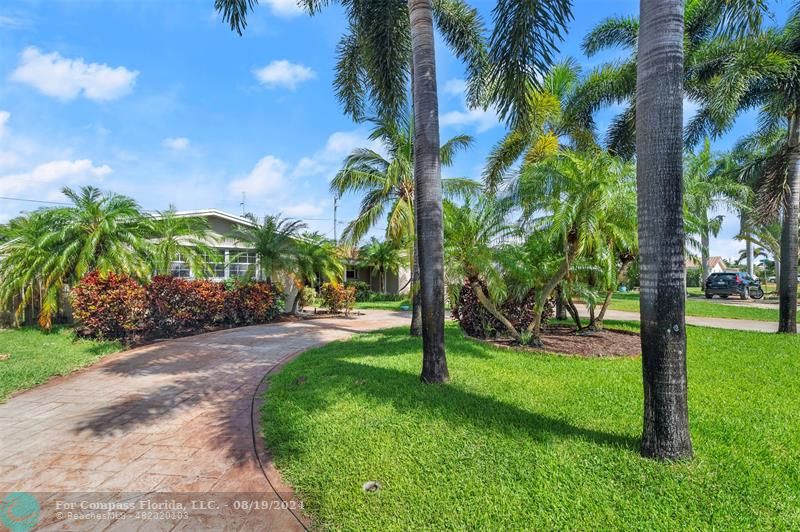 a view of a yard with a palm trees