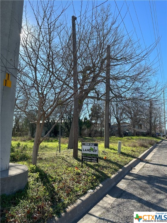 a view of a yard with plants and a bench