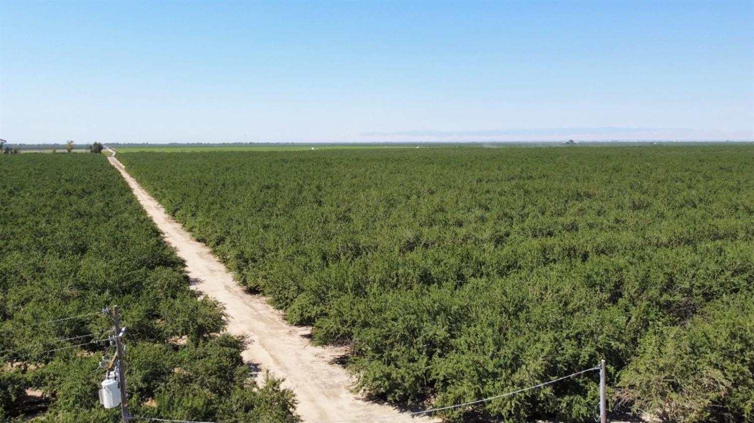 a view of a field with an ocean