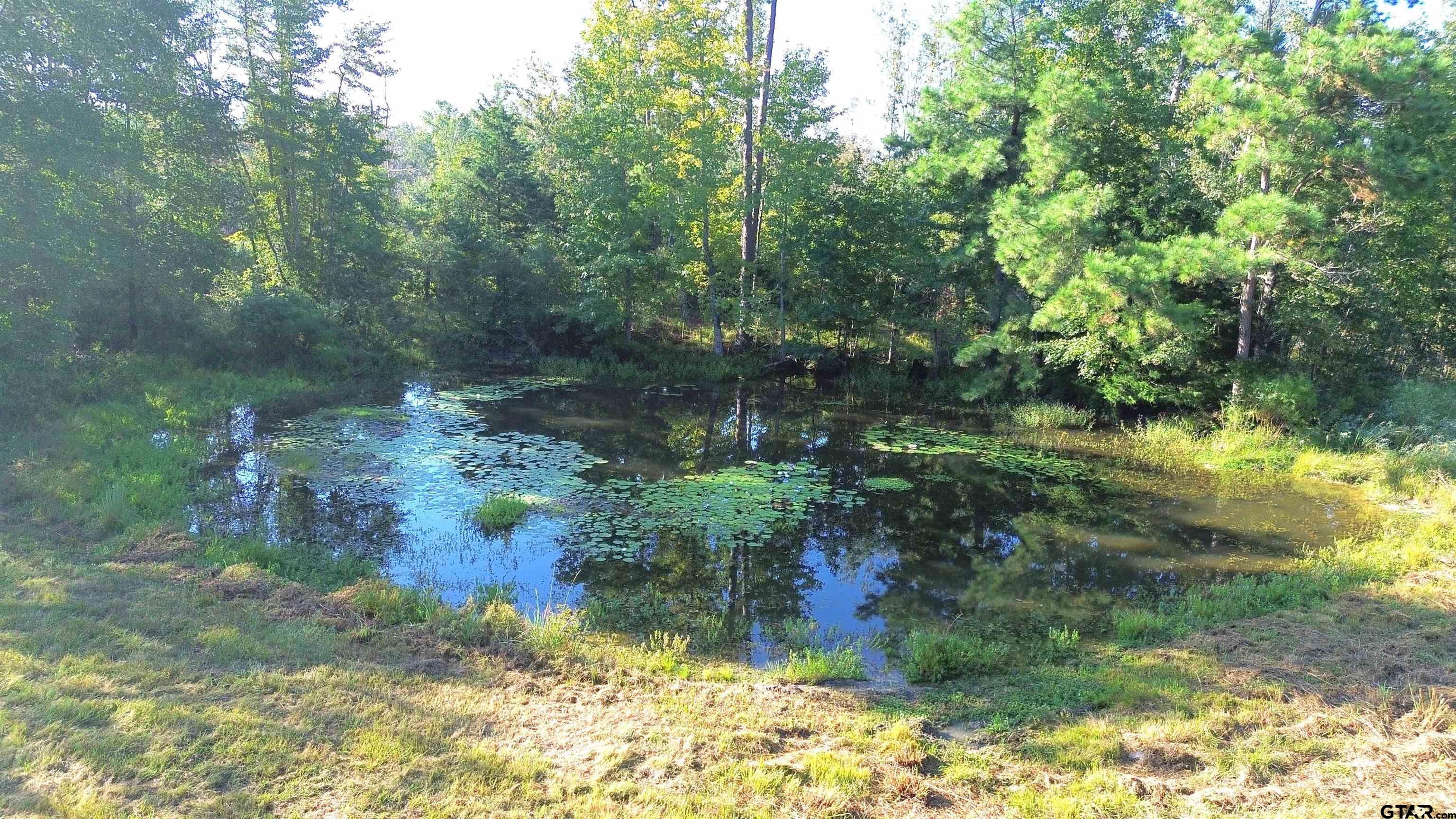 a view of a lake with a yard