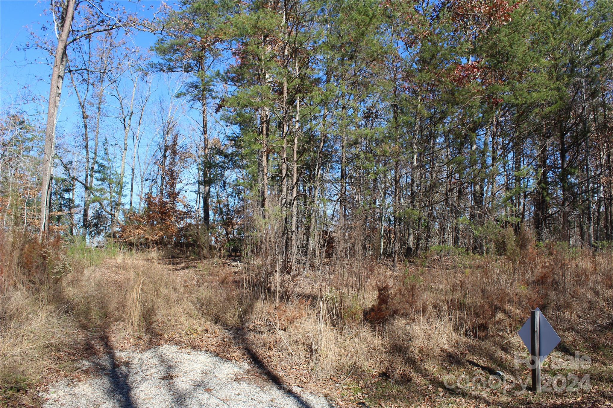 a view of a dry yard with trees