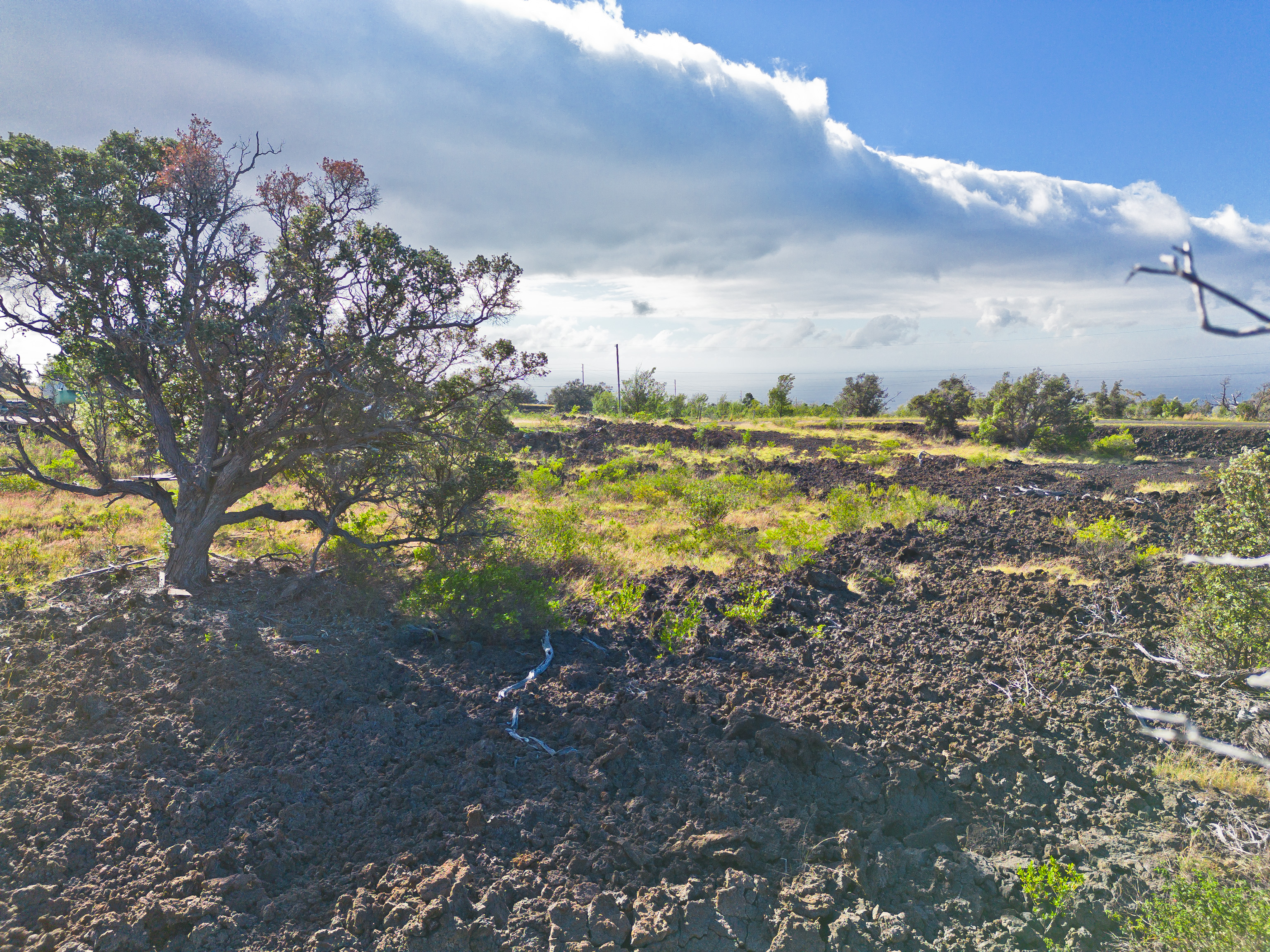 Hawaiian Ocean View Estates Ranchos! 3.09-acre lot offers open space with ocean and mountain views