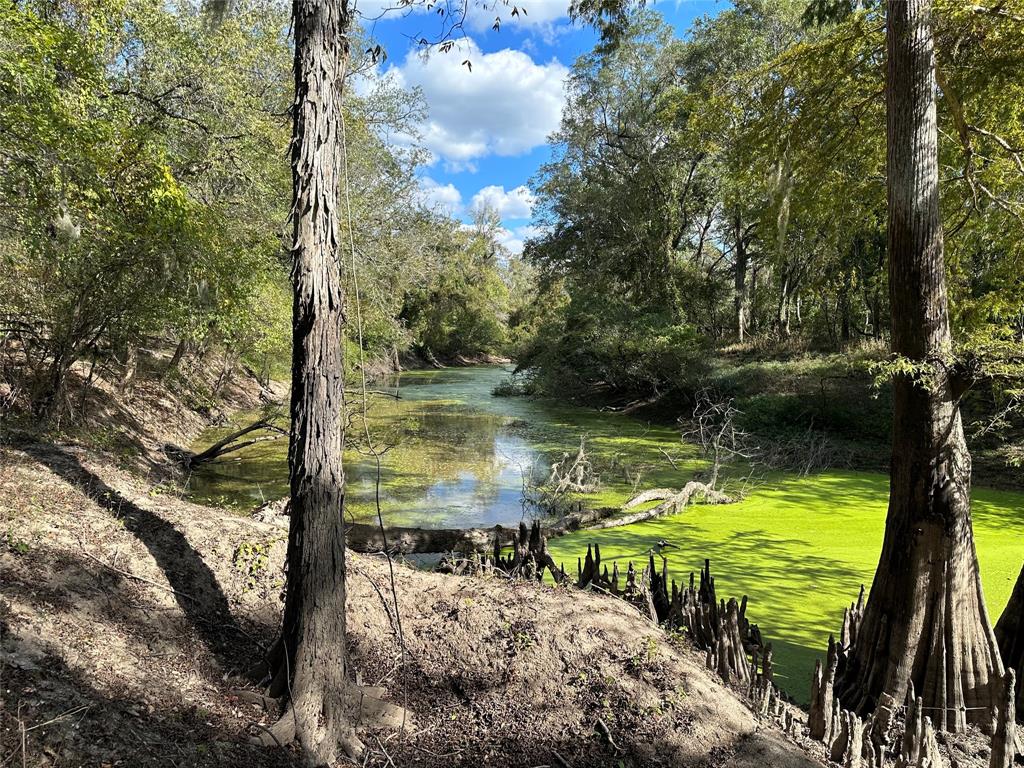 a view of a lake from a yard