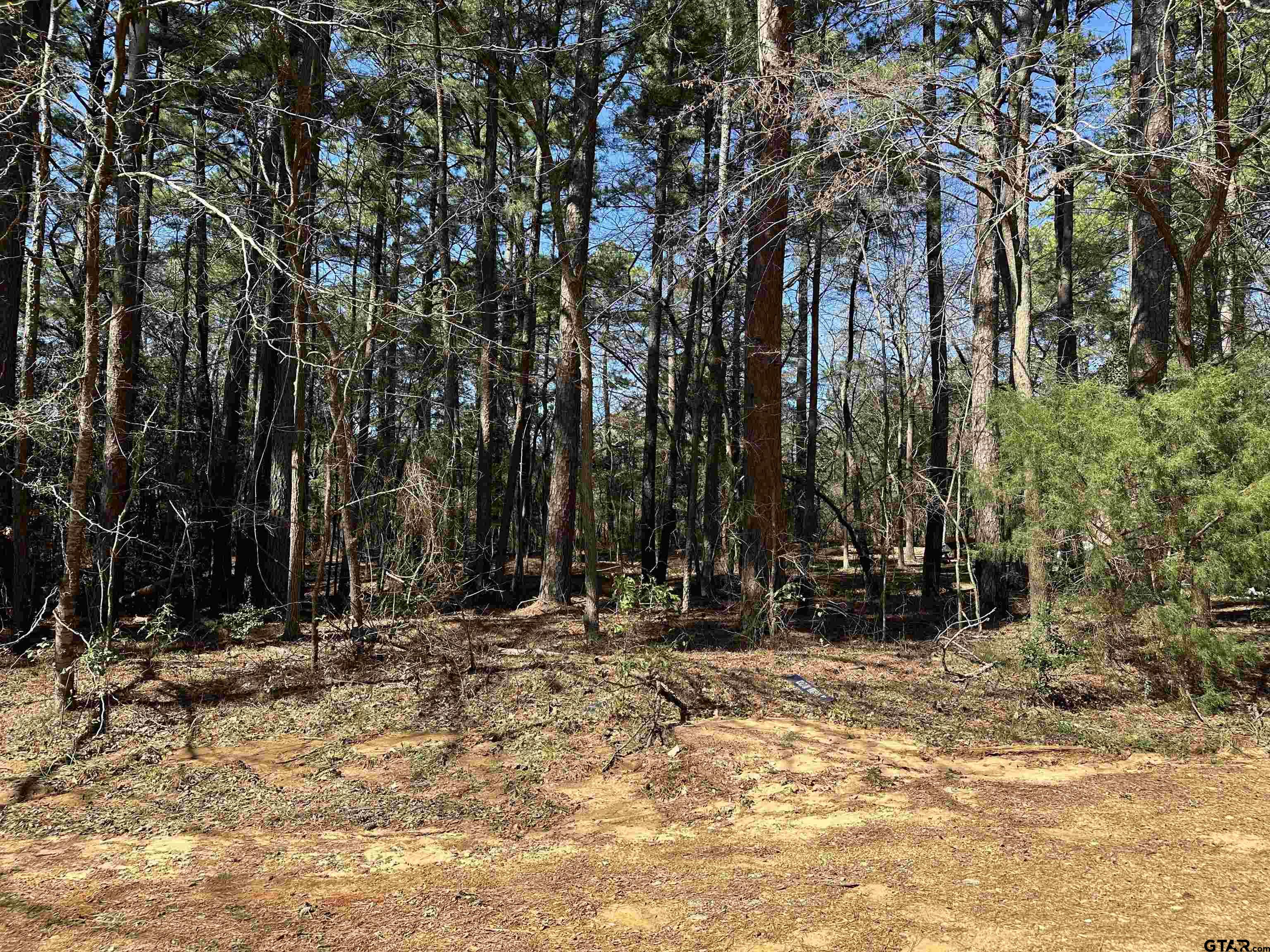 a view of outdoor space with trees