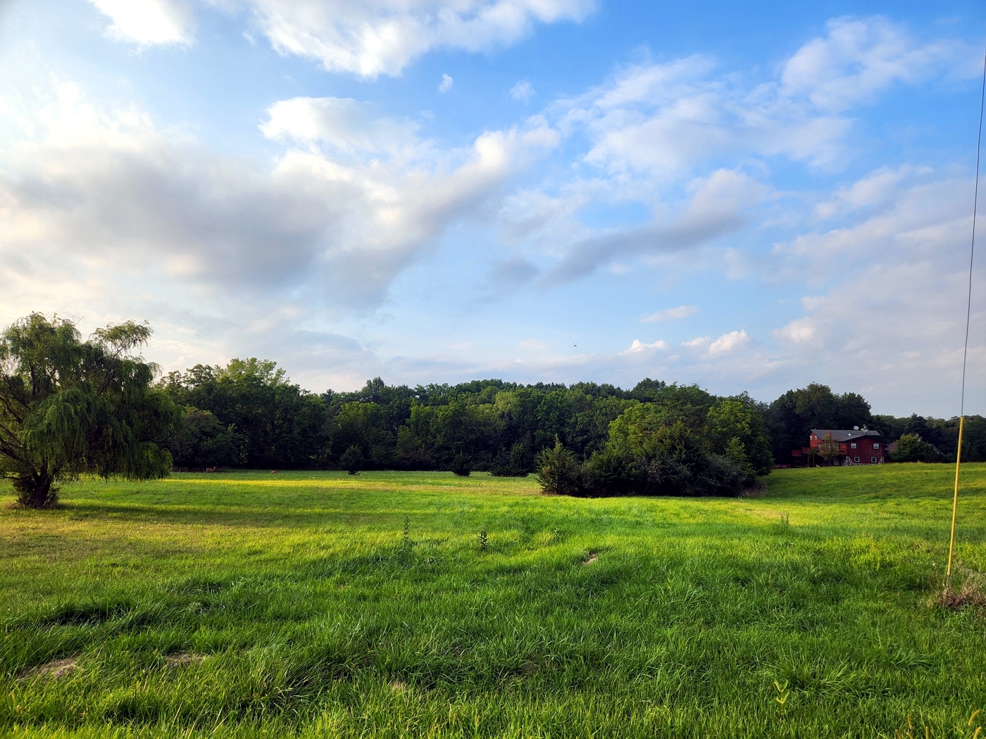 a view of a golf course with a garden