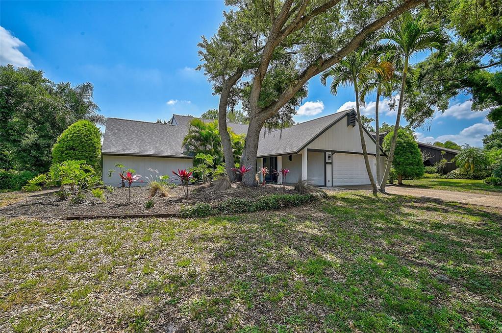 a view of a house with a yard and a large tree