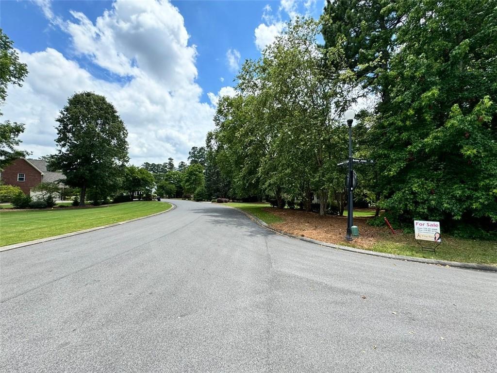 a view of a park with large trees