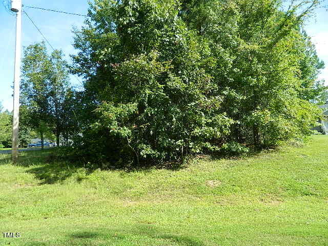 a view of an outdoor space and a yard