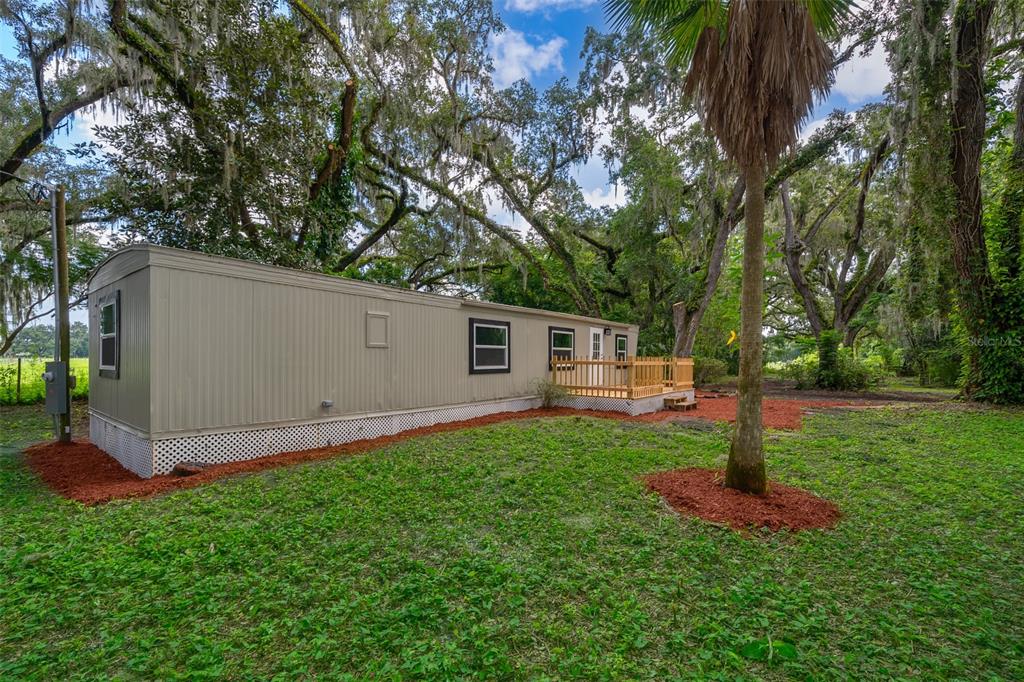 a backyard of a house with plants and a tree