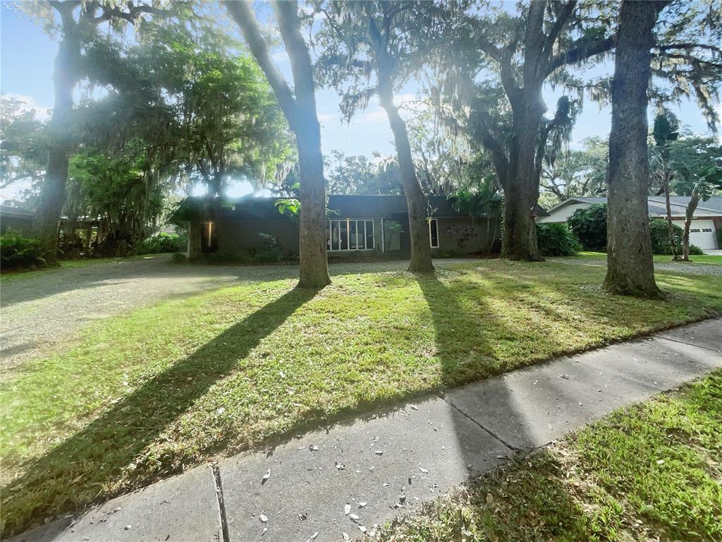 a view of a backyard with large trees