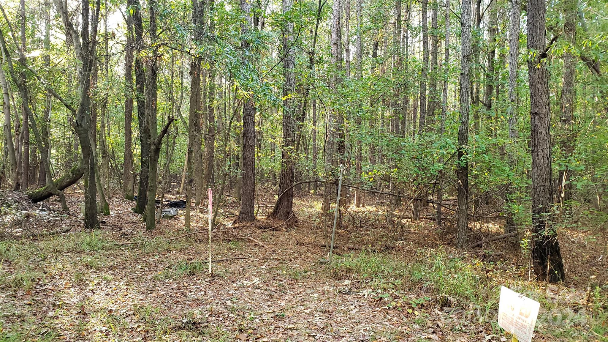 a view of outdoor space with trees