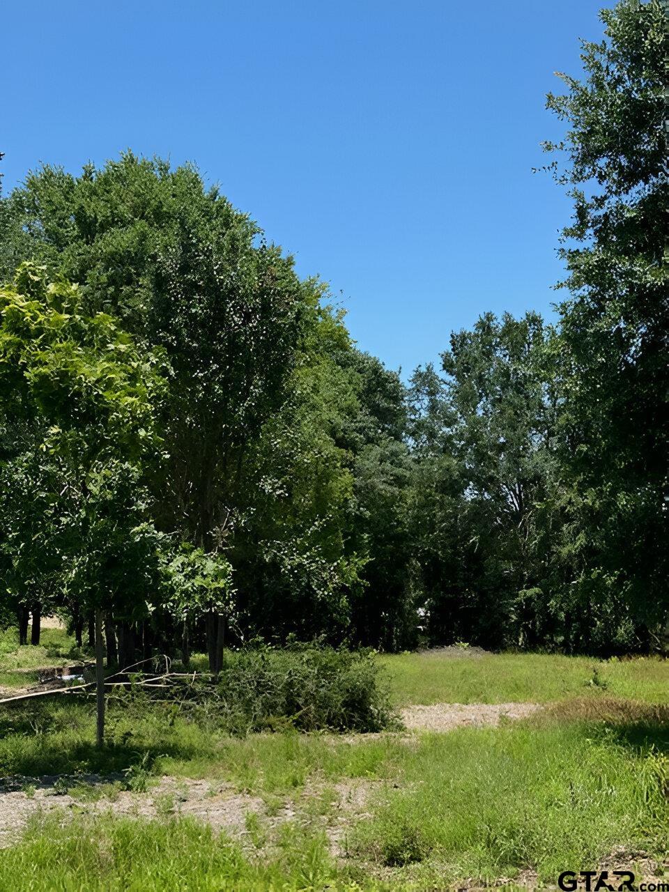 a view of a park