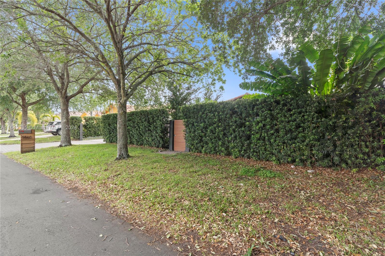 a view of a yard with plants and trees