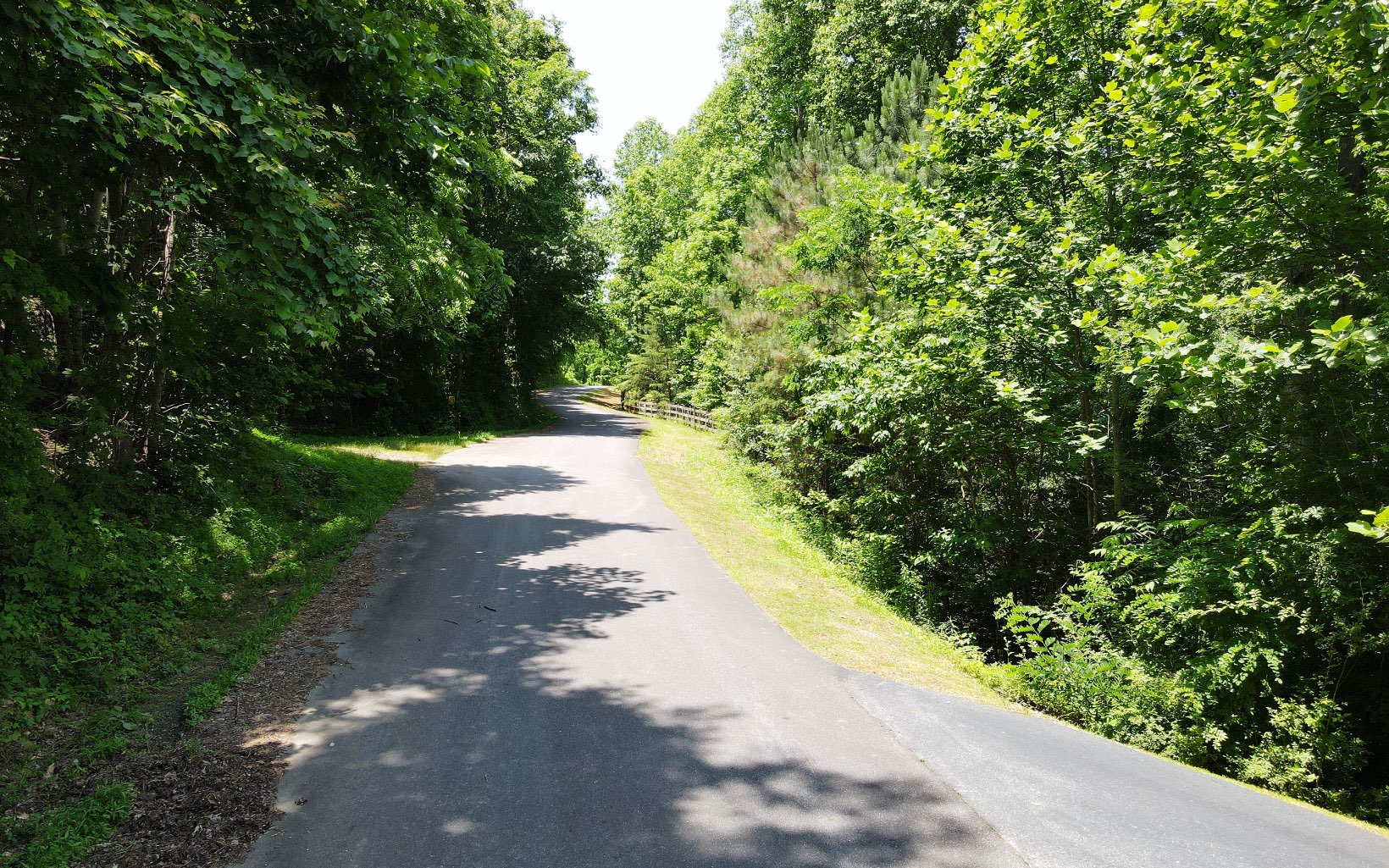 a view of a pathway both side of yard