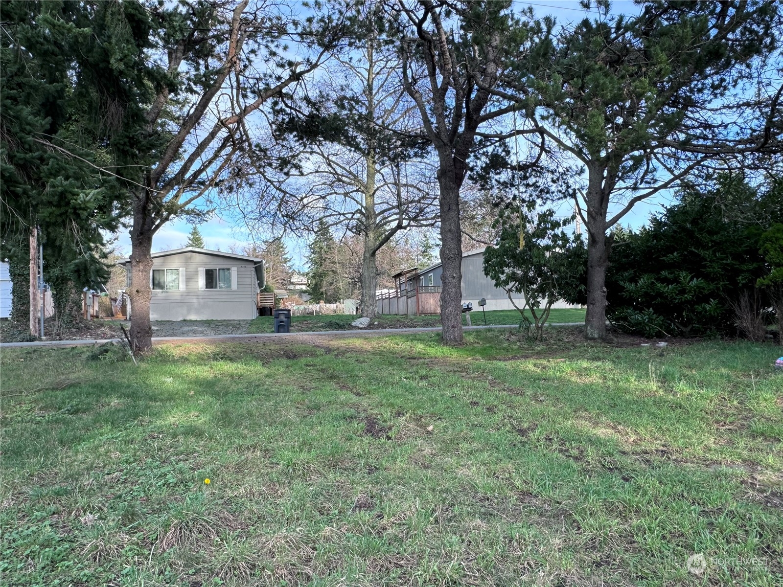 a view of a yard with a house and a large tree