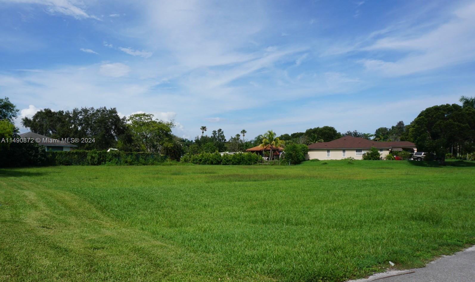 a view of yard with grass & street view