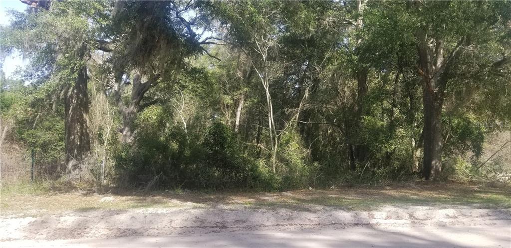 a view of a yard with trees