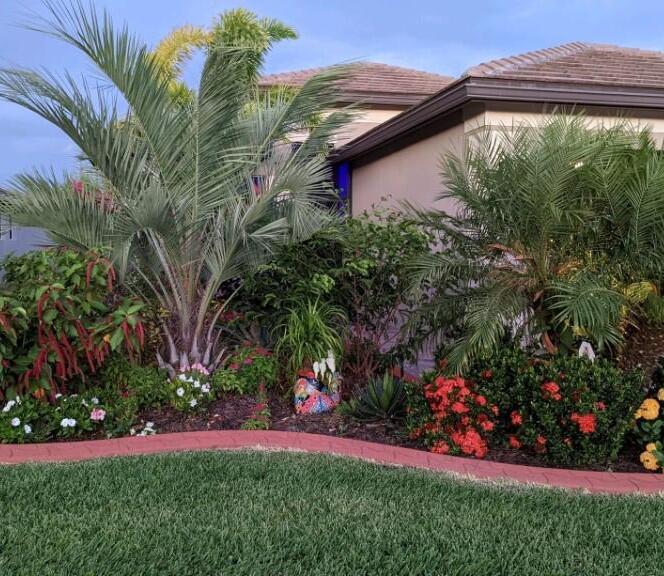 a view of a backyard with plants