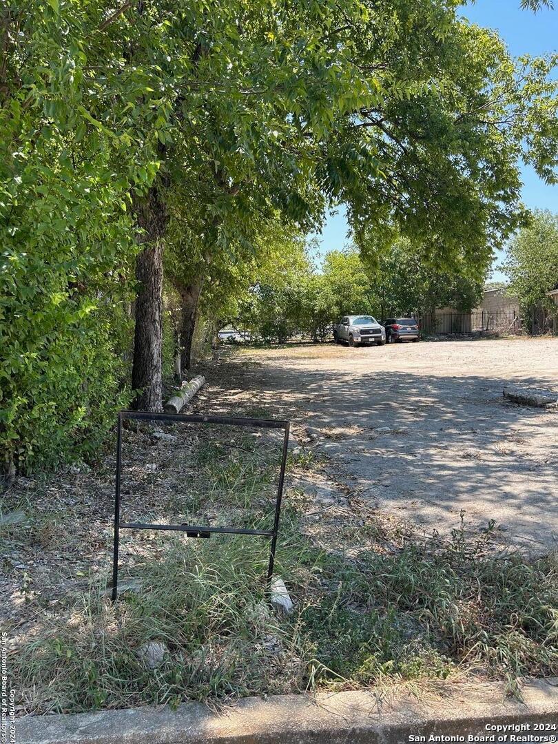 a view of a yard with large trees