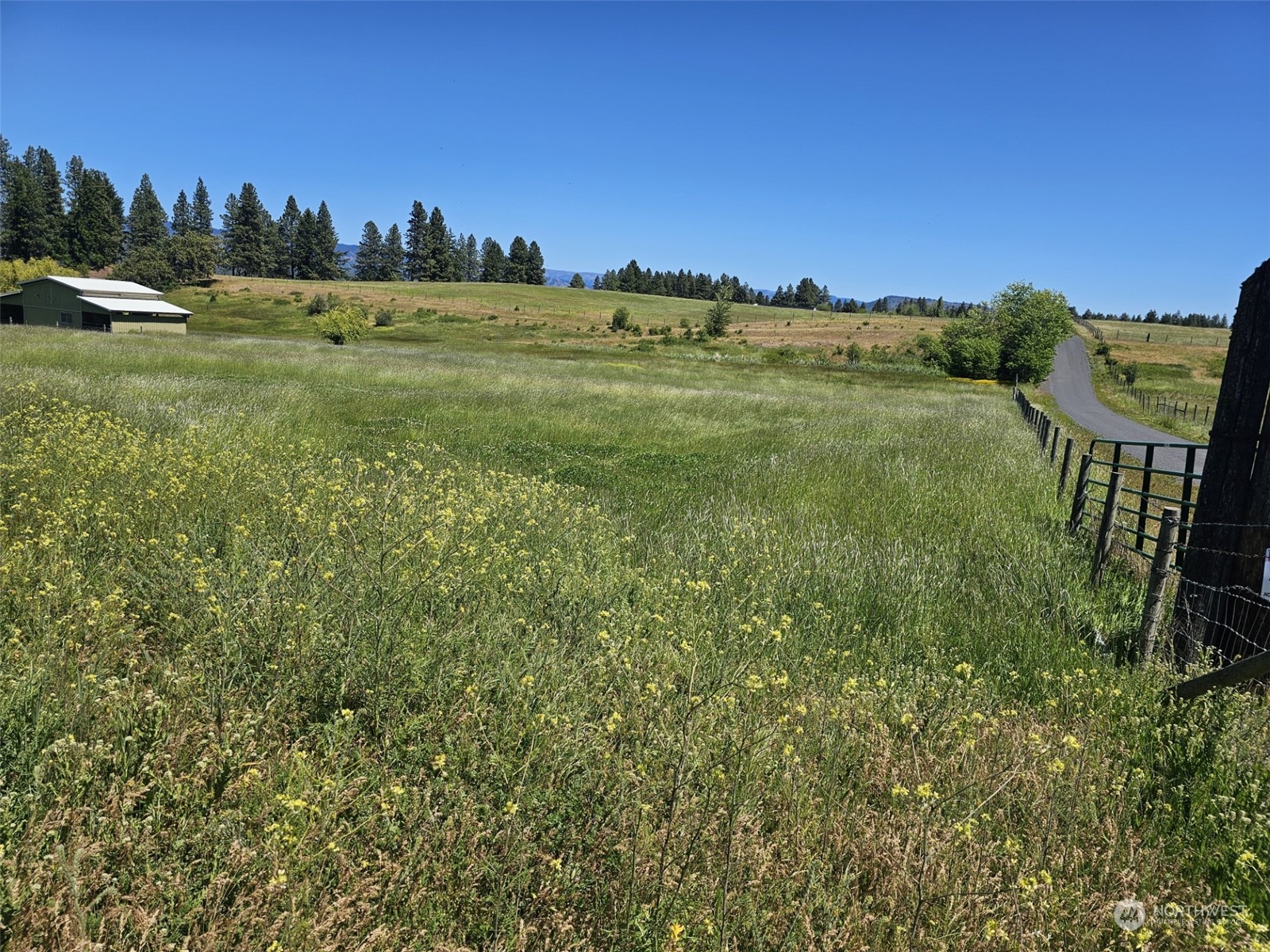 a view of a field with an trees