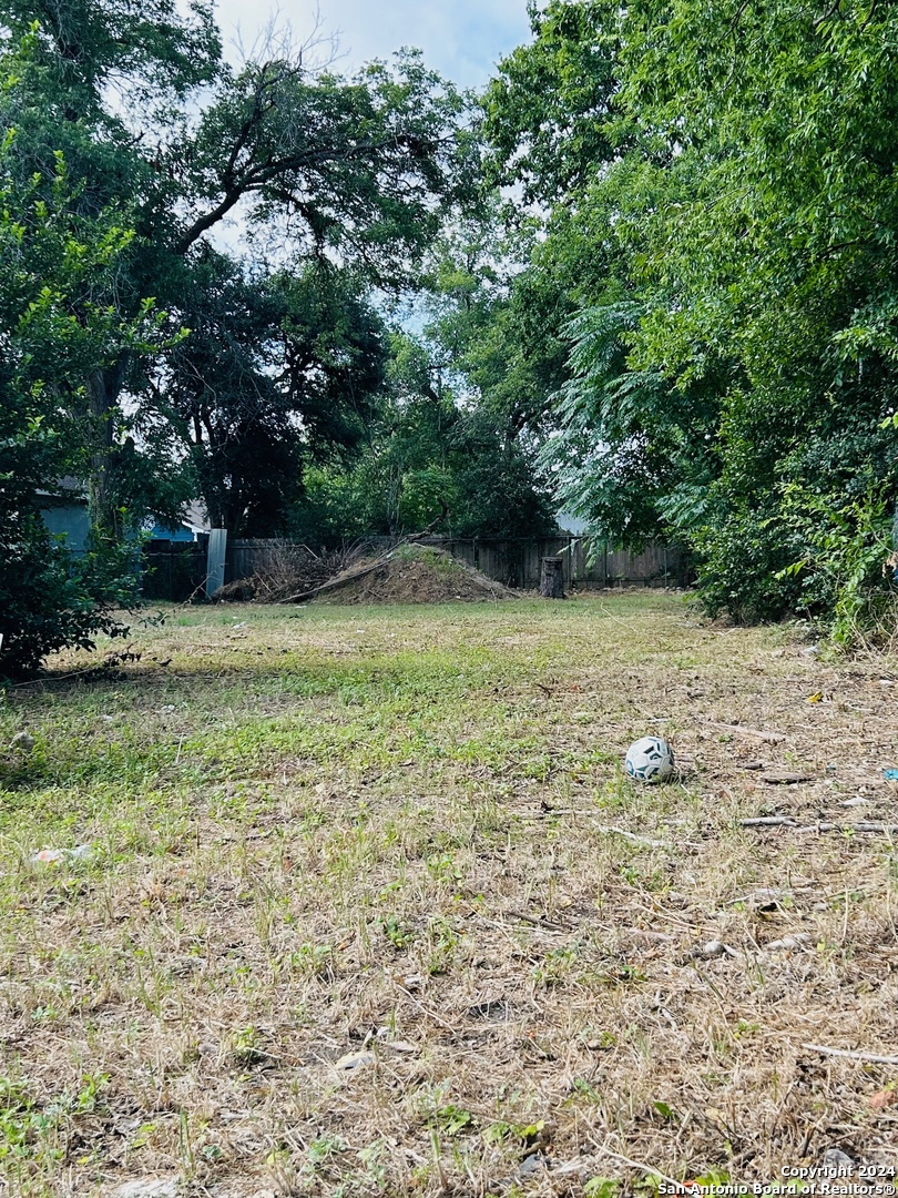 a view of a yard with trees