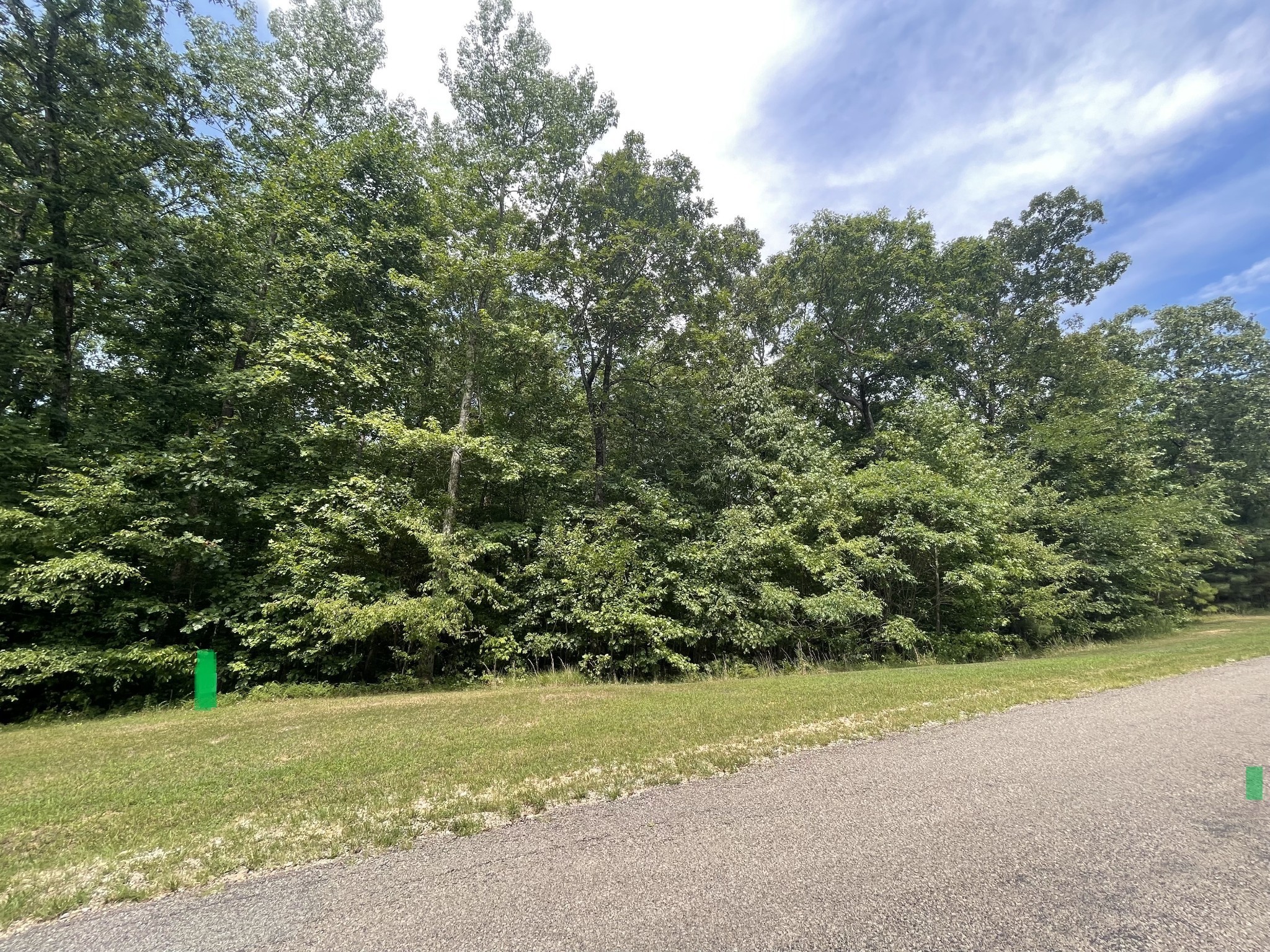 a view of a yard with a tree