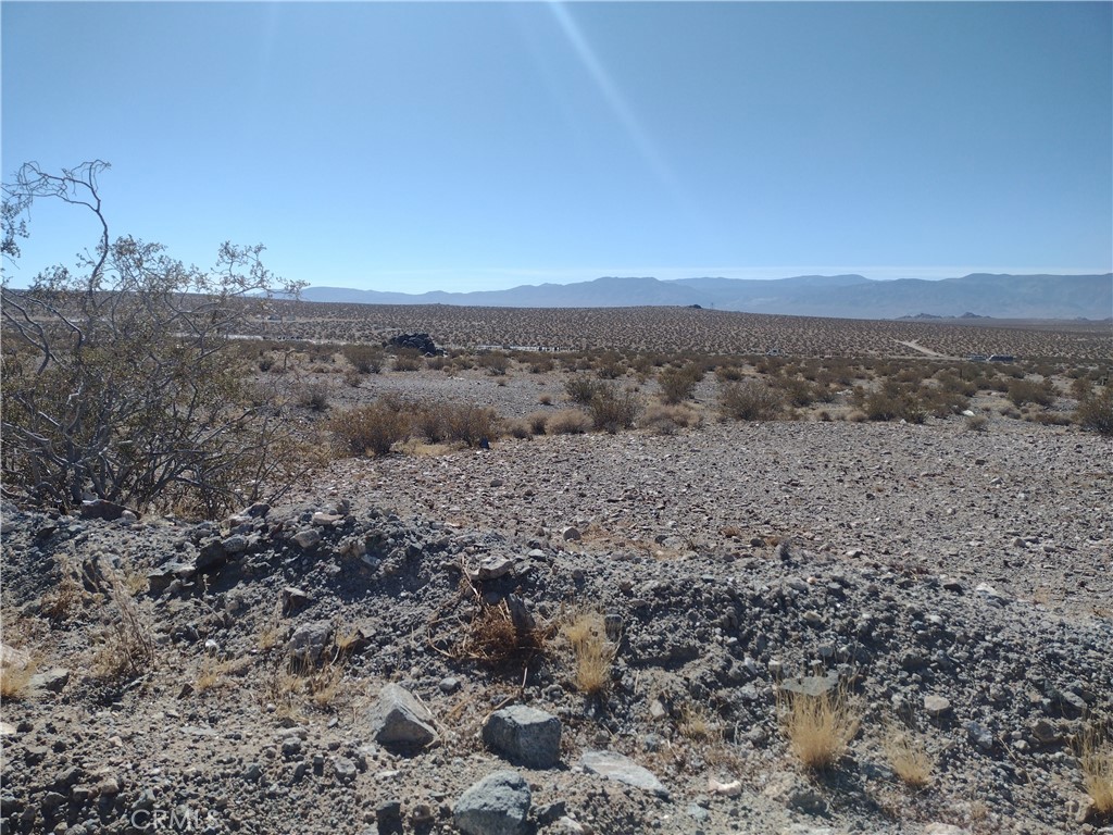 a view of a dry field with trees in background