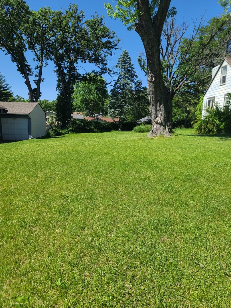 a view of a yard with a tree