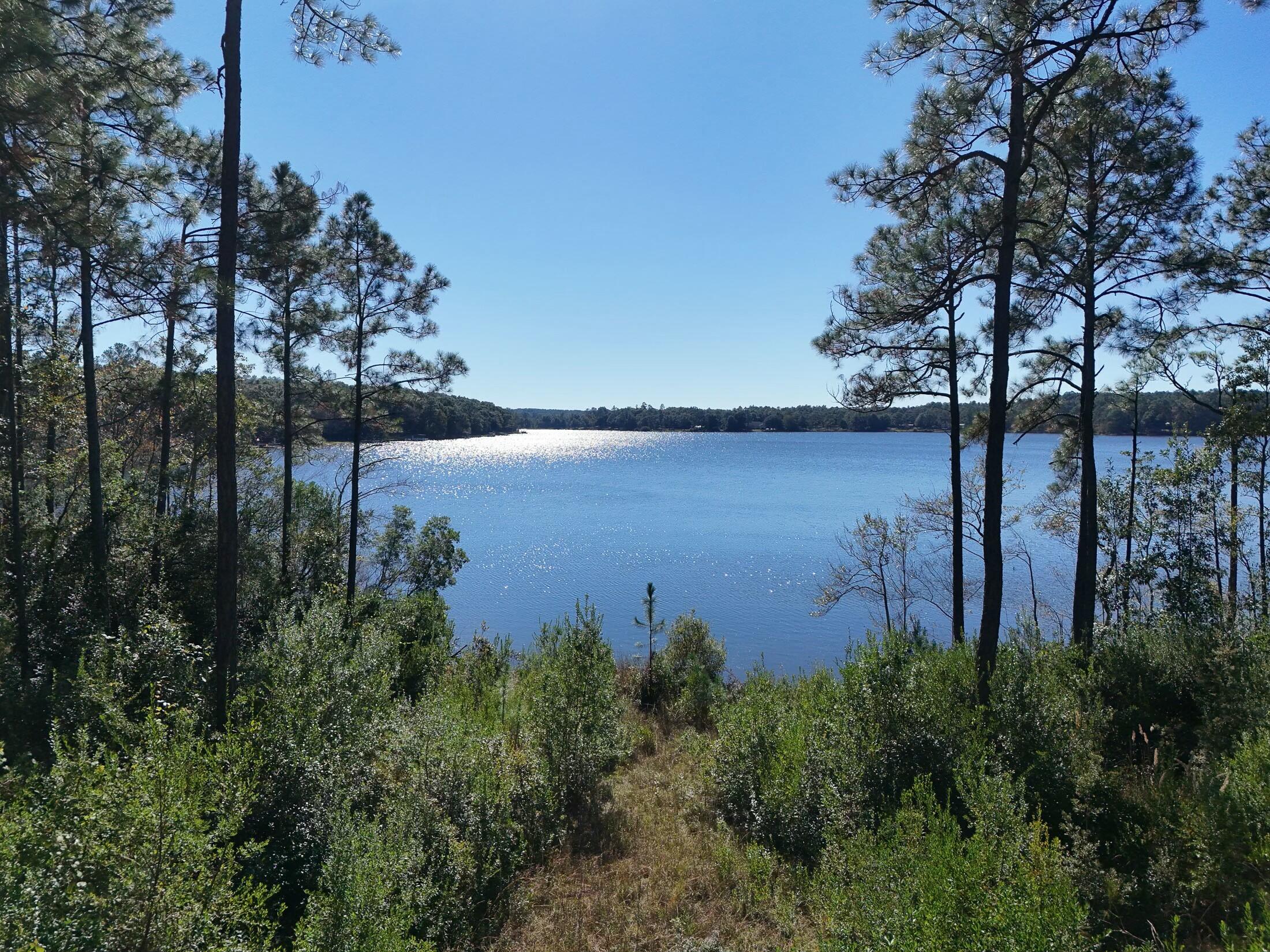 a view of a lake from a yard