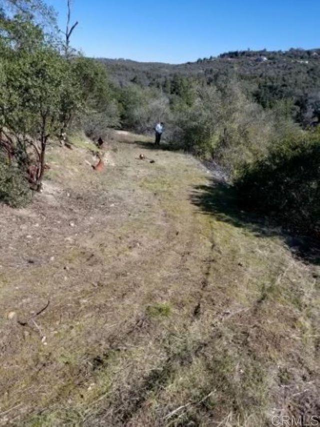 a view of a dry yard with trees in the background