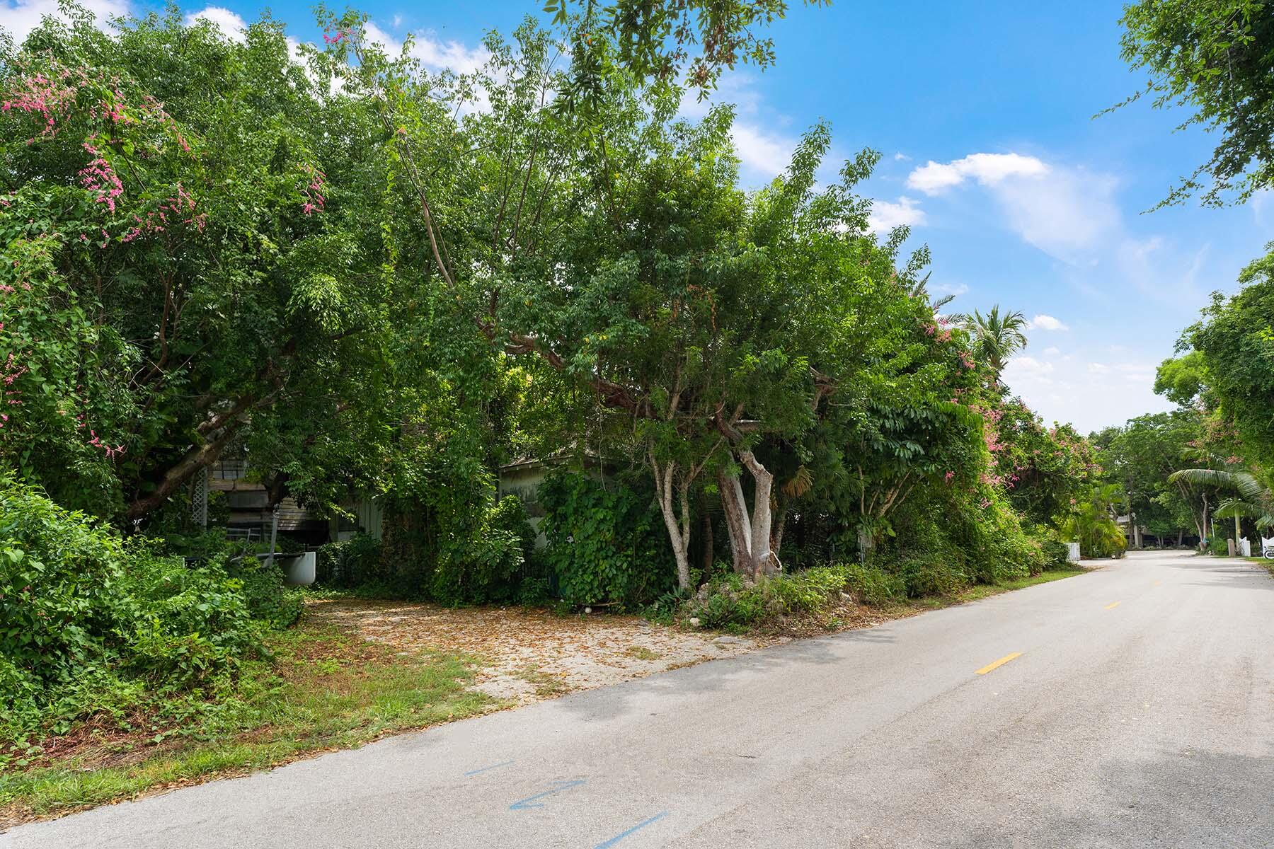 a view of a yard with plants and trees