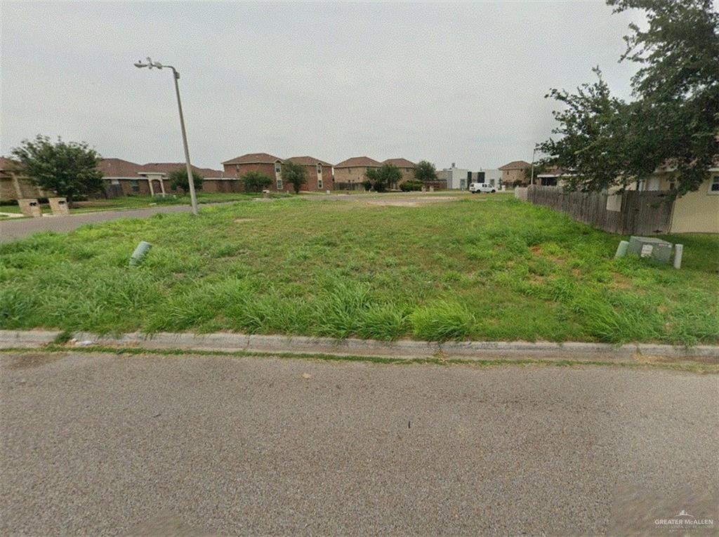 a backyard of a house with plants and large trees