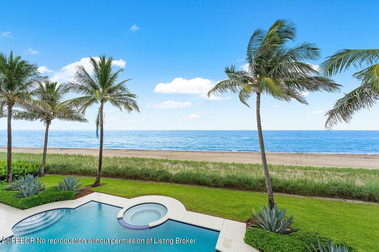 a view of a garden with a palm tree