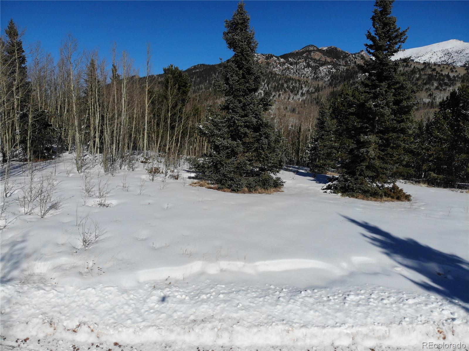 a view of a covered with snow in the background