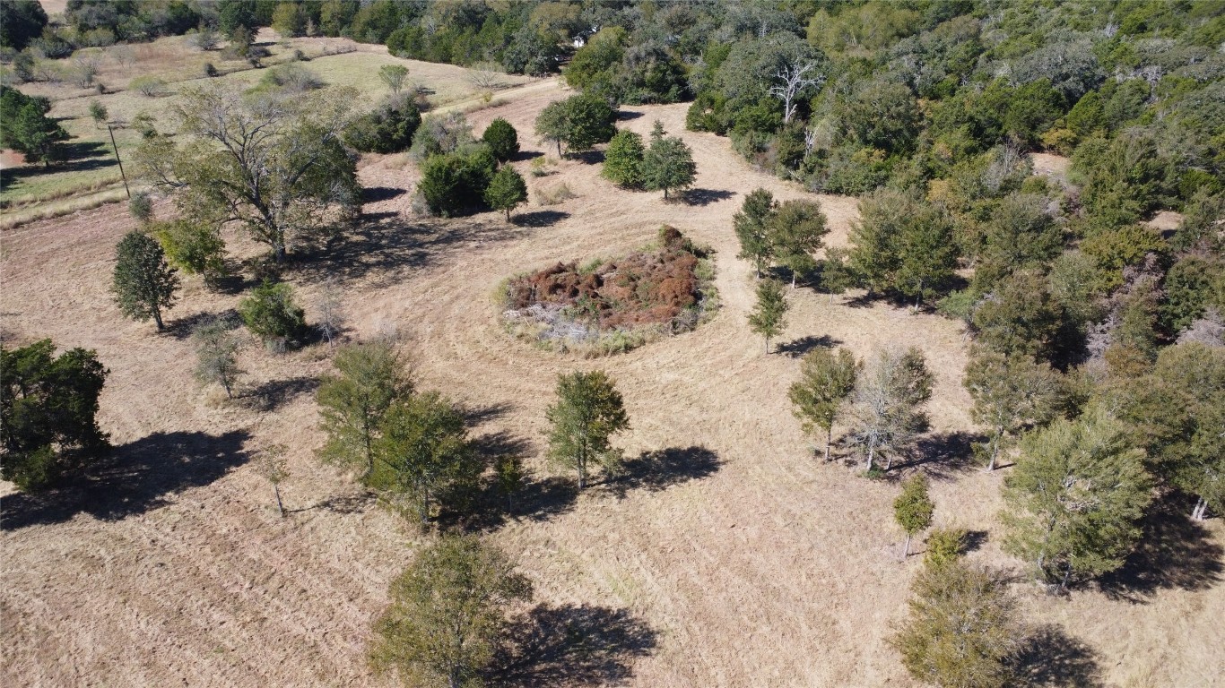 a view of outdoor space and covered with trees