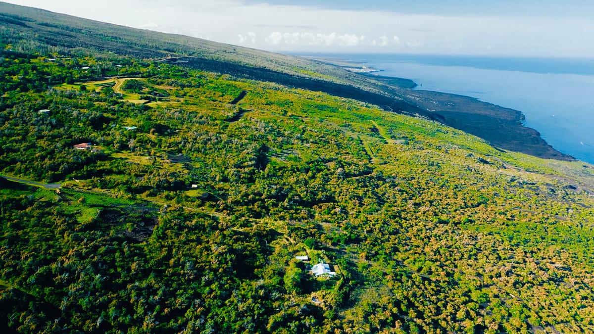 a view of a garden