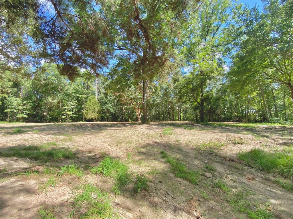 a view of a yard with large trees