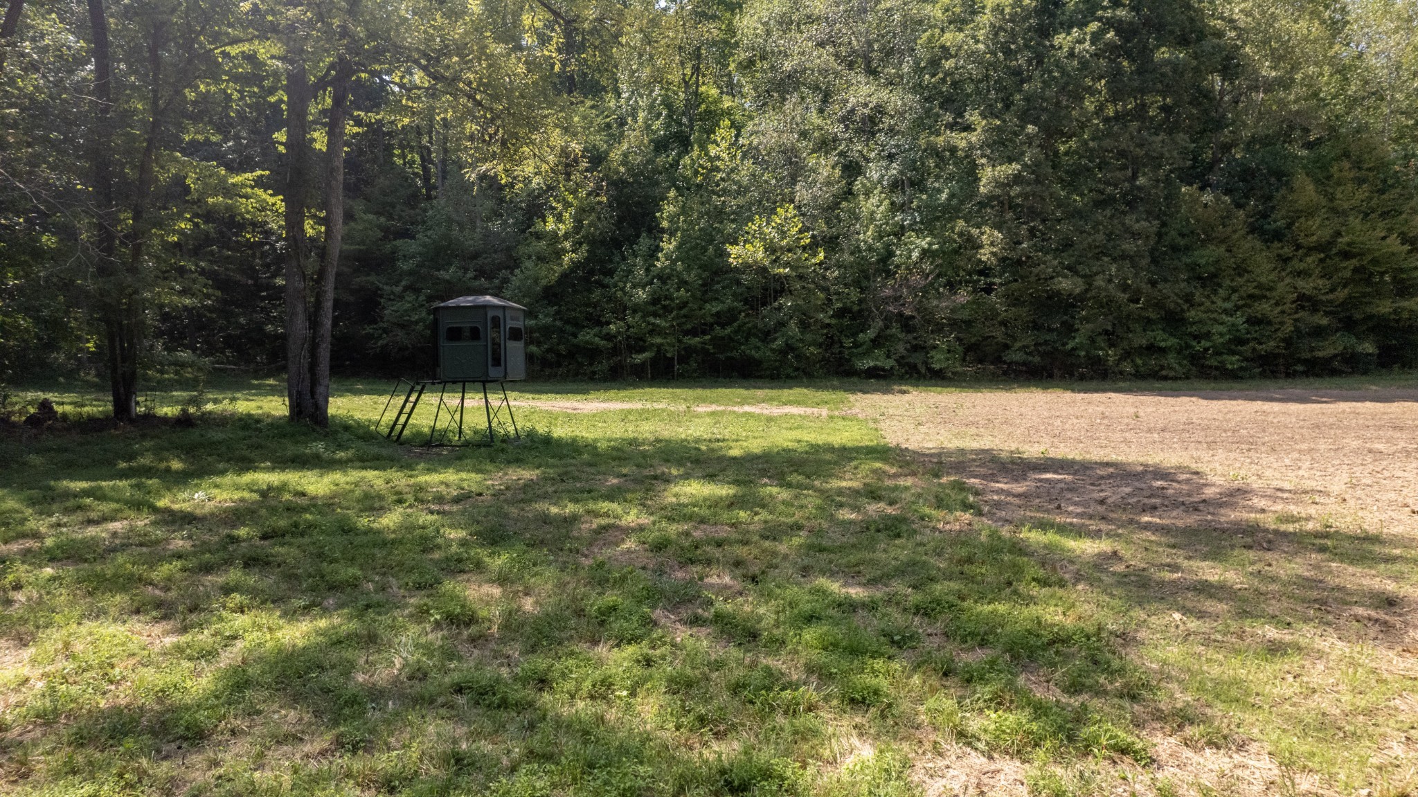 a view of outdoor space with trees all around