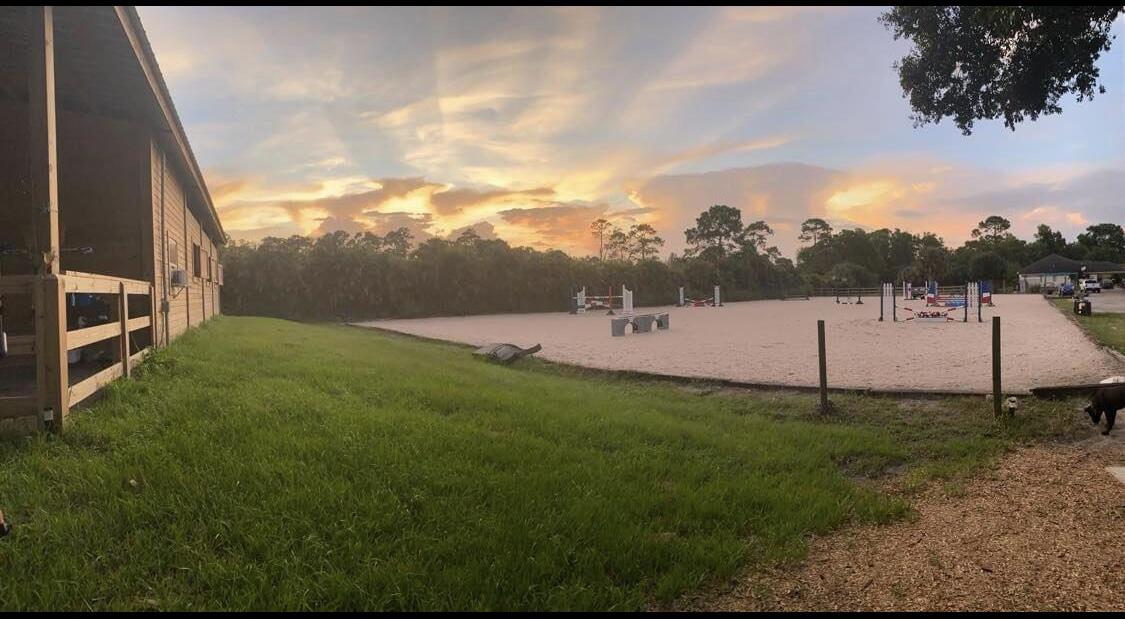 a view of a backyard