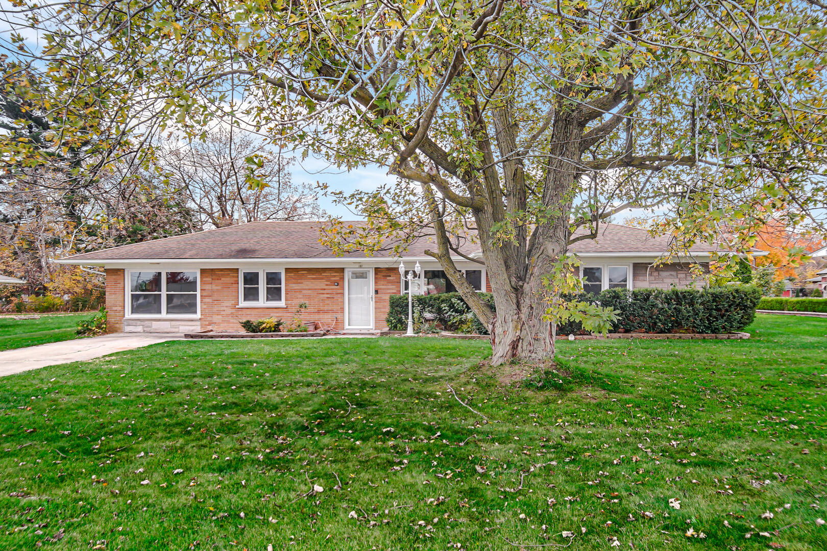 a front view of a house with yard and green space